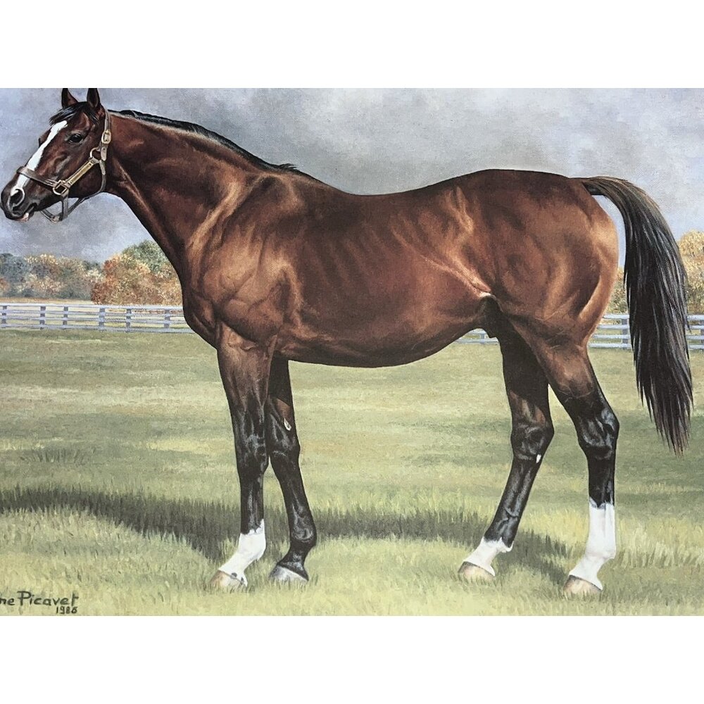 Northern Dancer 1964 Kentucky Derby Winner Lg Lithograph Artist Signed Numbered